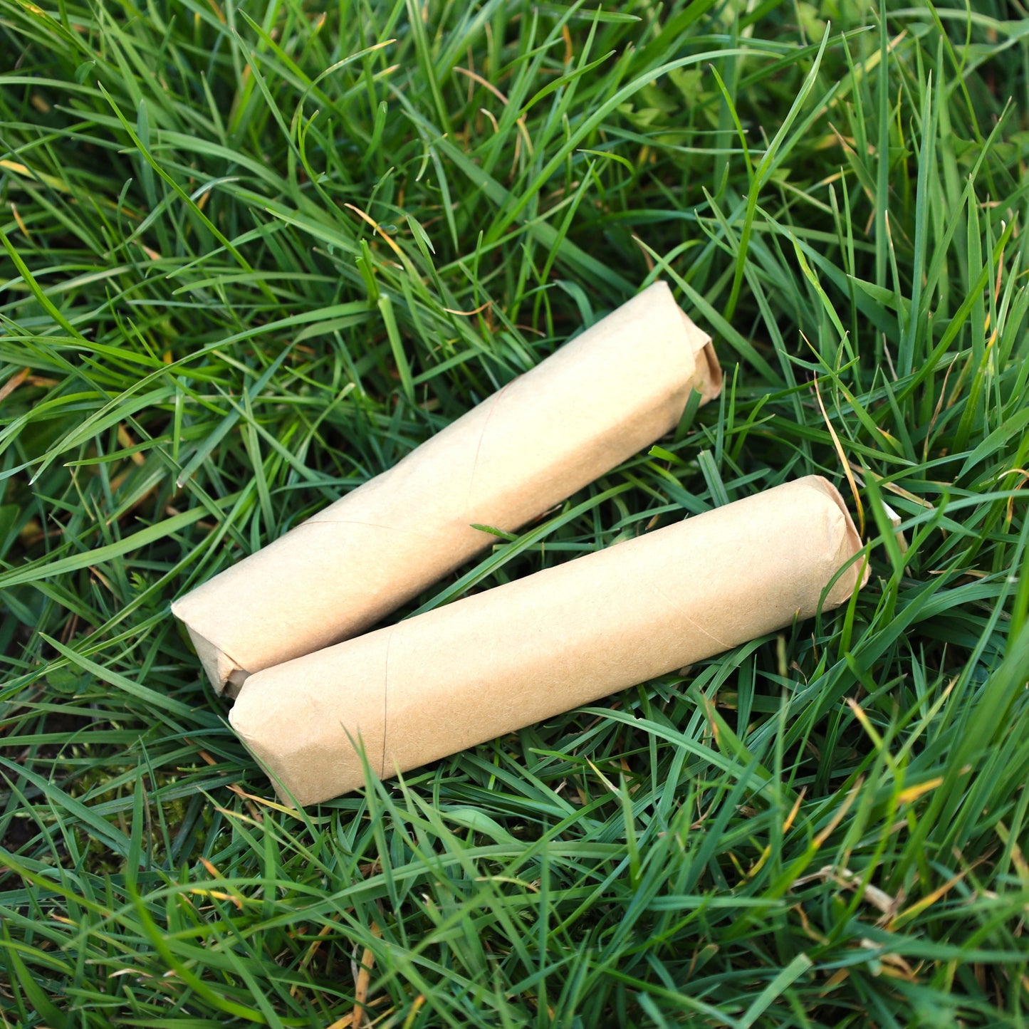 Natural Charcoal Water Filter Stick | Two Sticks | 6-12 Month Use Each