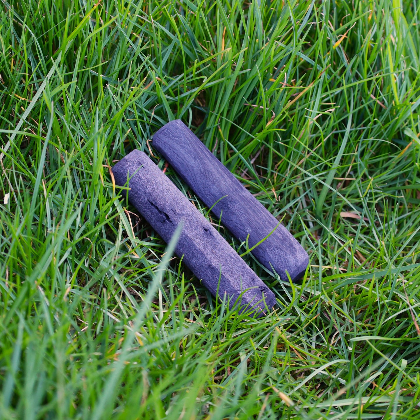 Natural Charcoal Water Filter Stick | Two Sticks | 6-12 Month Use Each