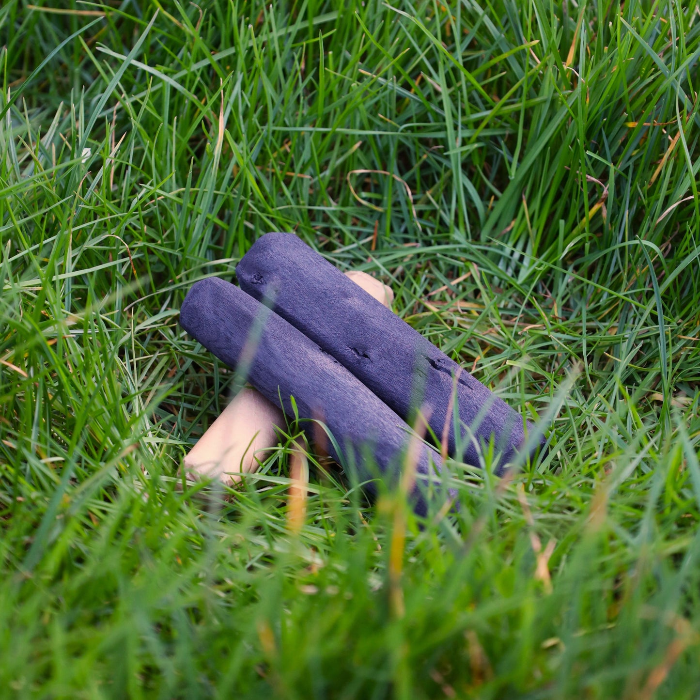 Natural Charcoal Water Filter Stick | Two Sticks | 6-12 Month Use Each