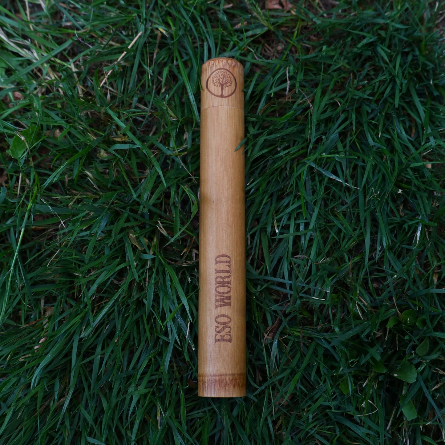 Bamboo Toothbrush Case | Travel Case