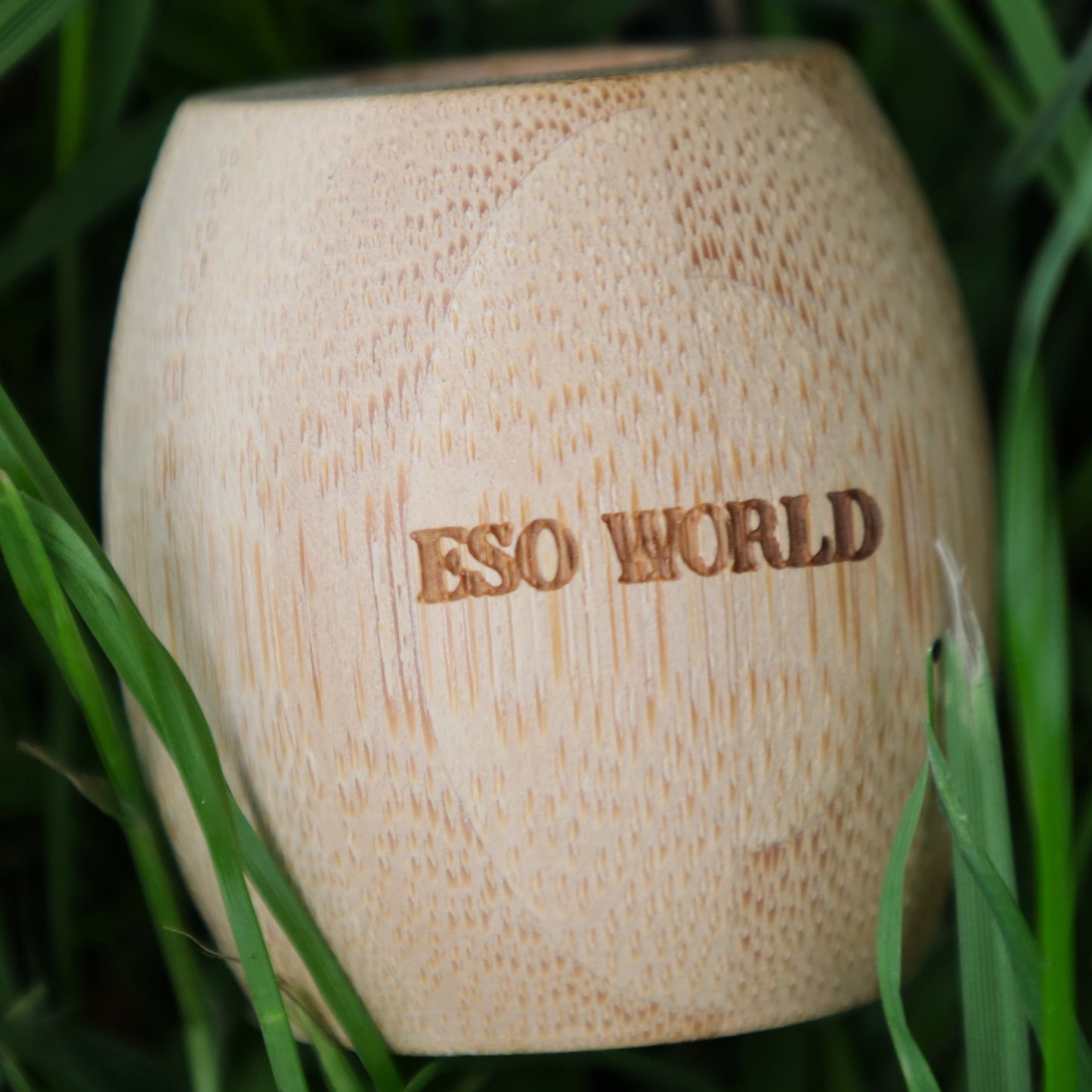 Bamboo Toothbrush Holder | Plastic Free