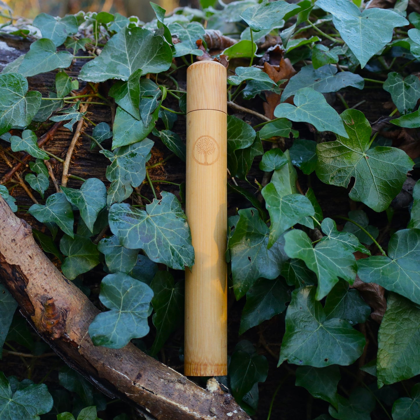 Bamboo Toothbrush Case