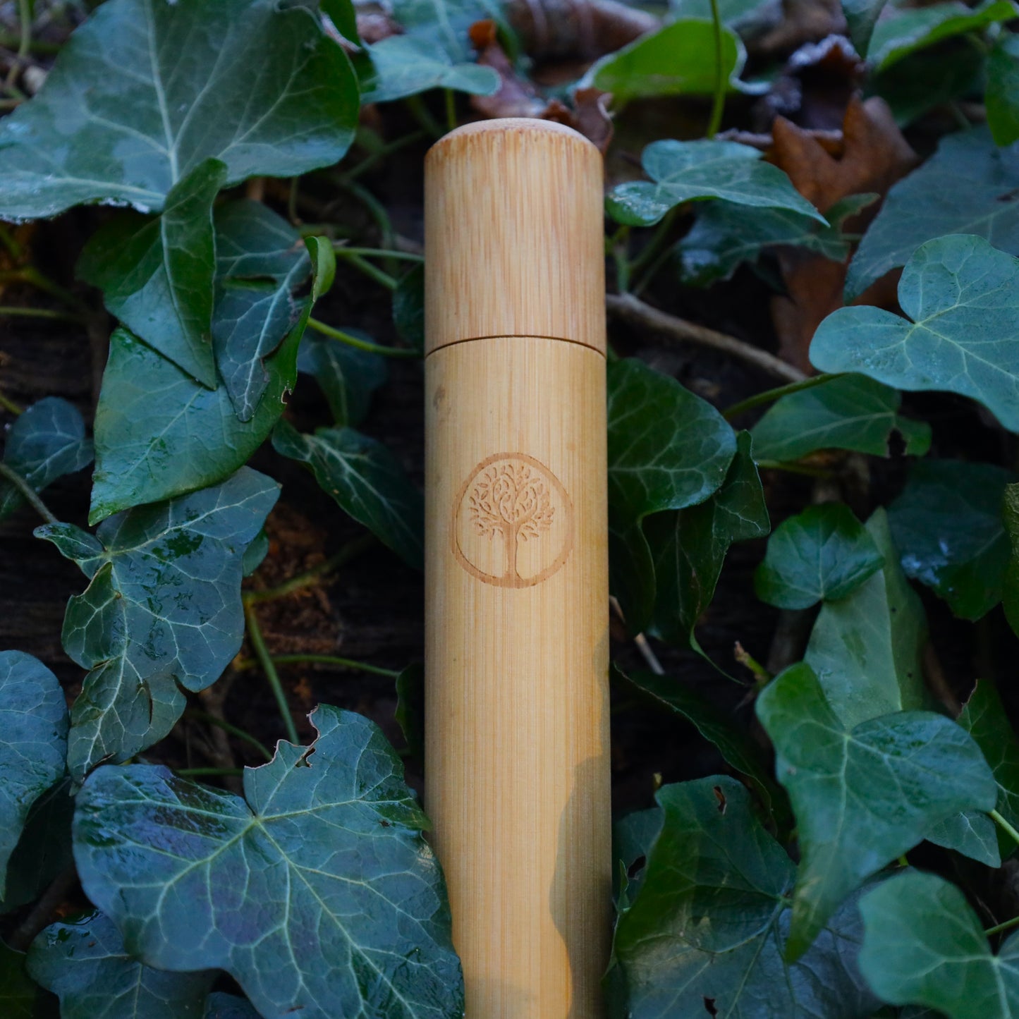 Bamboo Toothbrush Case