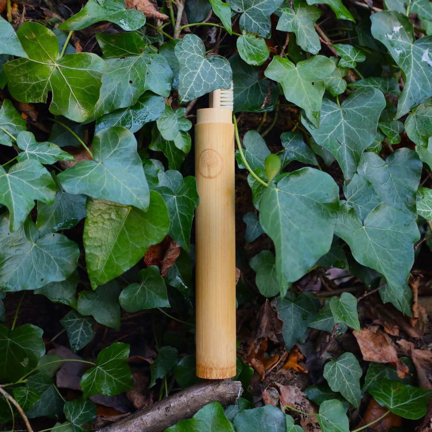 Bamboo Toothbrush Case