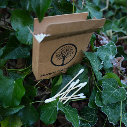 Cotton Buds CLEARANCE | 10 packs (1000pcs)