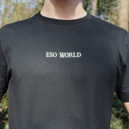 Mens Organic Cotton T-Shirt