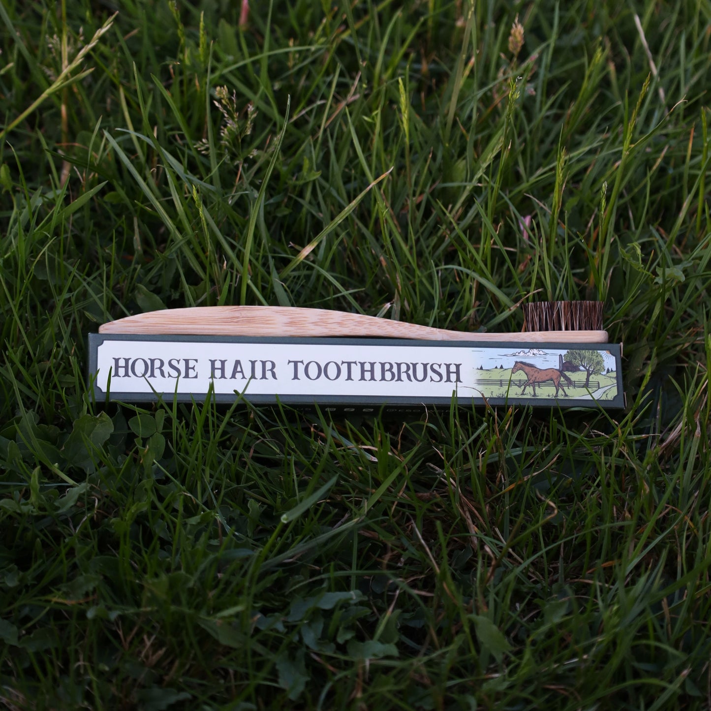Side profile shot of the horsehair bamboo toothbrush partially placed inside its illustrated box, showing the natural bristles extending beyond the edge. The toothbrush is handmade, biodegradable, and completely free from plastic, glue, or synthetic adhesives. The horsehair bristles are softer than boar bristles but firmer than nylon, ideal for those looking for a traditional natural toothbrush. The bamboo handle is smooth and minimally processed. This image speaks directly to buyers searching for heritage 