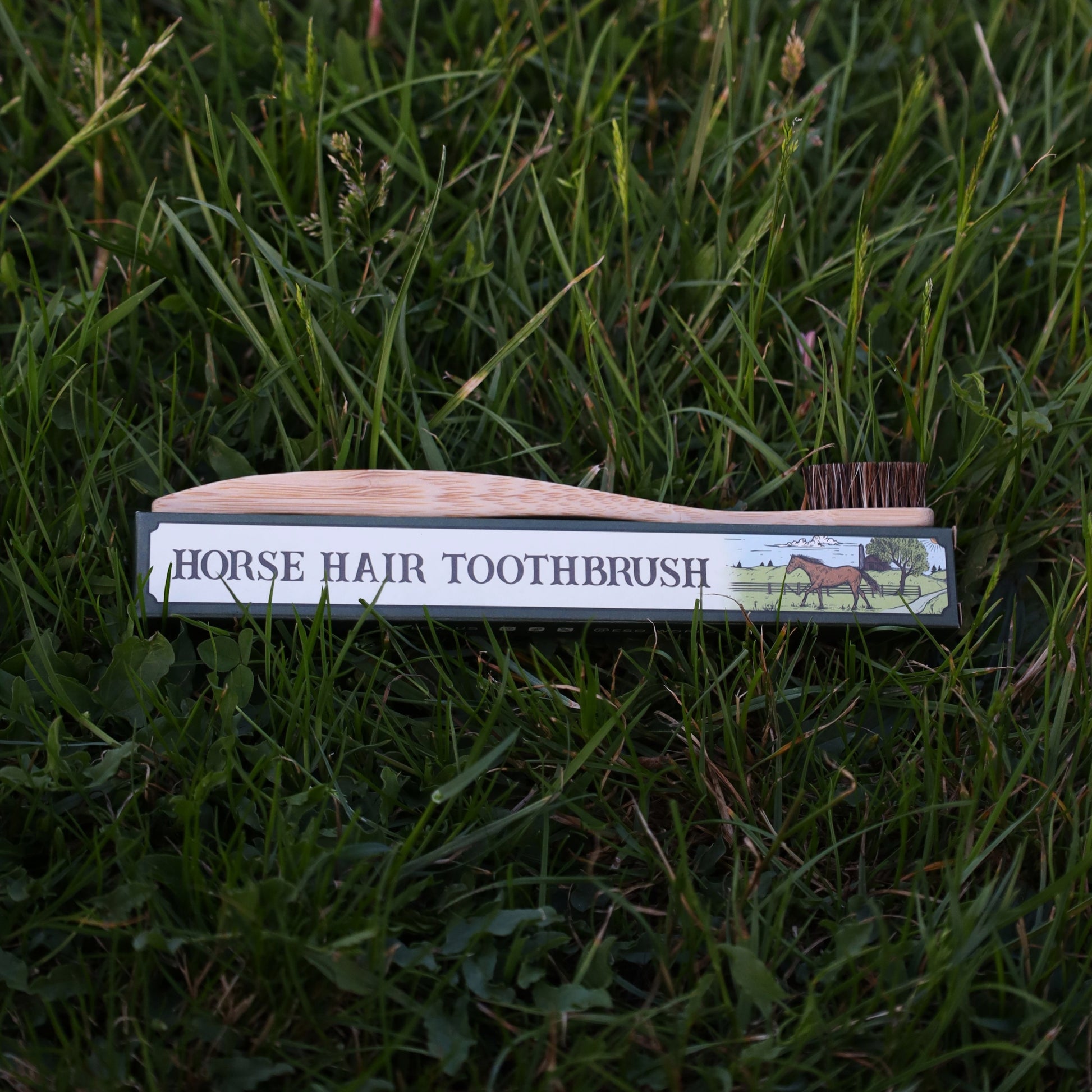 Side profile shot of the horsehair bamboo toothbrush partially placed inside its illustrated box, showing the natural bristles extending beyond the edge. The toothbrush is handmade, biodegradable, and completely free from plastic, glue, or synthetic adhesives. The horsehair bristles are softer than boar bristles but firmer than nylon, ideal for those looking for a traditional natural toothbrush. The bamboo handle is smooth and minimally processed. This image speaks directly to buyers searching for heritage 