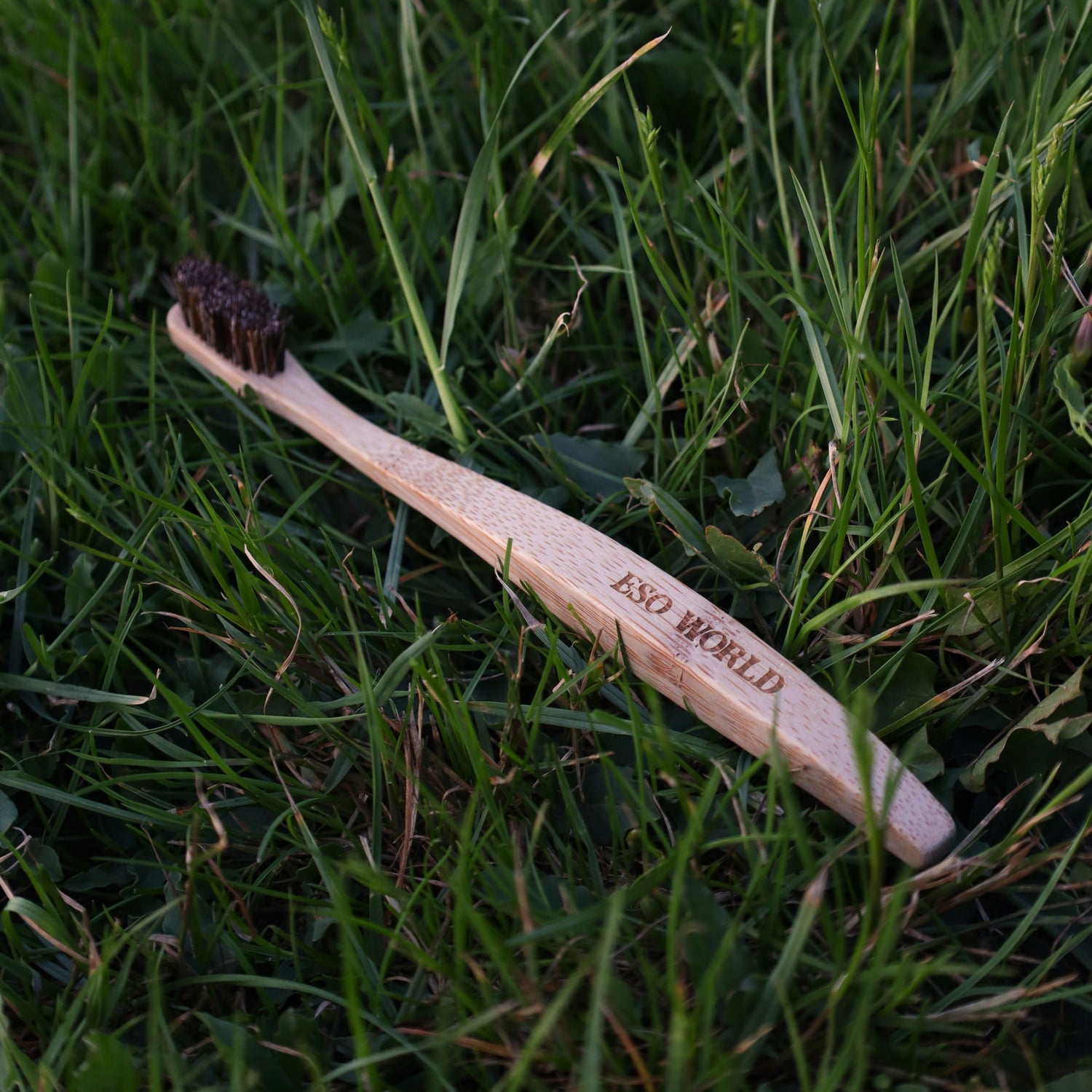 Angled shot of the ESO World bamboo toothbrush resting naturally in grass, highlighting its clean ergonomic design and engraved branding. The toothbrush is handcrafted from smooth, biodegradable bamboo and fitted with dense horsehair bristles—offering a fully natural, glue-free, and plastic-free alternative to conventional toothbrushes. This image evokes a quiet, grounded aesthetic that reinforces values of purity, tradition, and intentional living. Ideal for search terms like “natural horsehair toothbrush 