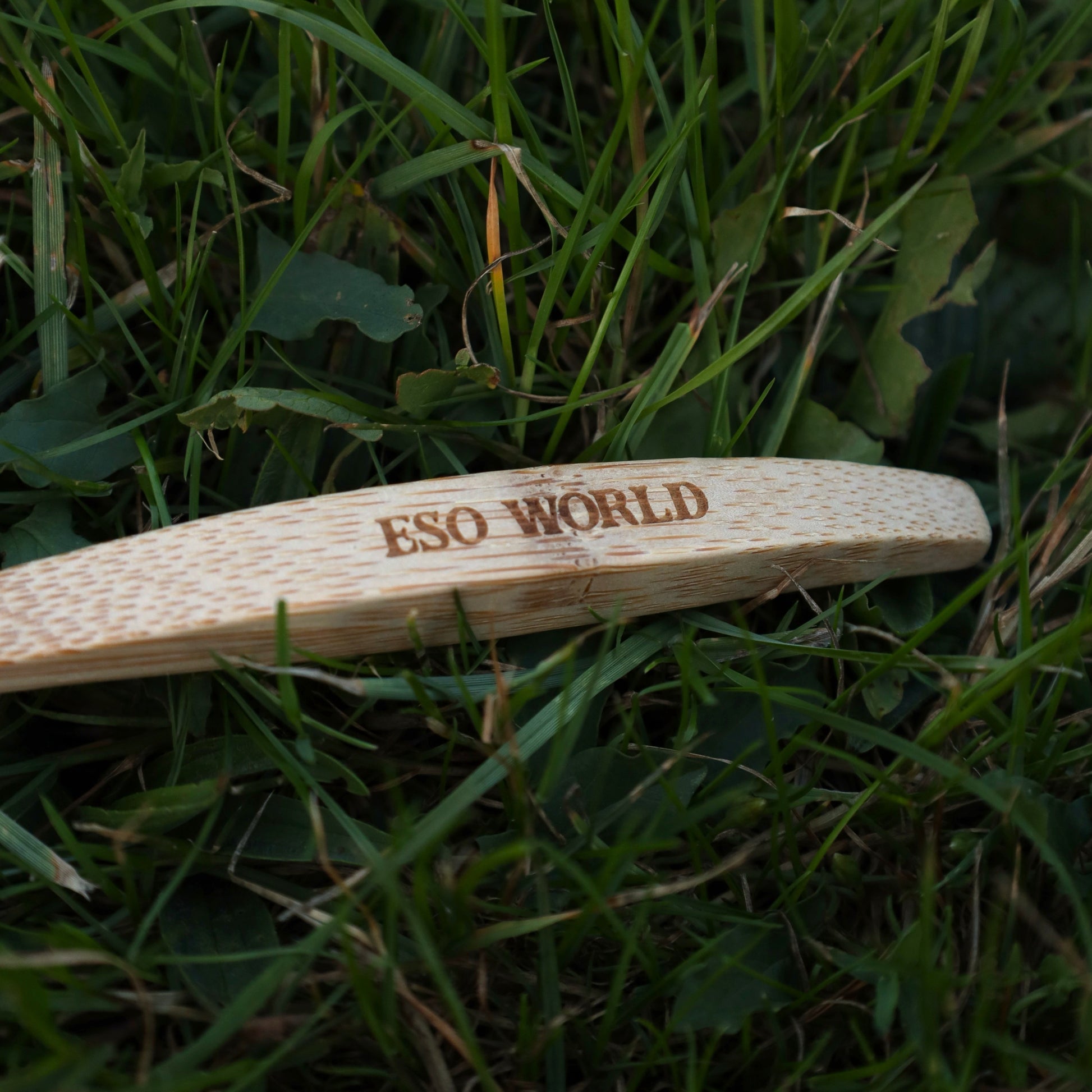 Extreme close-up of the bamboo handle engraved with the brand name ESO WORLD, nestled in fresh green grass. This image emphasizes craftsmanship, authenticity, and the organic material used. It’s ideal for searches centered on engraved bamboo toothbrushes, natural product branding, and plastic-free design. The image reinforces values of sustainability and heritage—useful for buyers looking for personalized or branded eco toothbrushes, or those seeking aesthetic grooming accessories that align with natural li