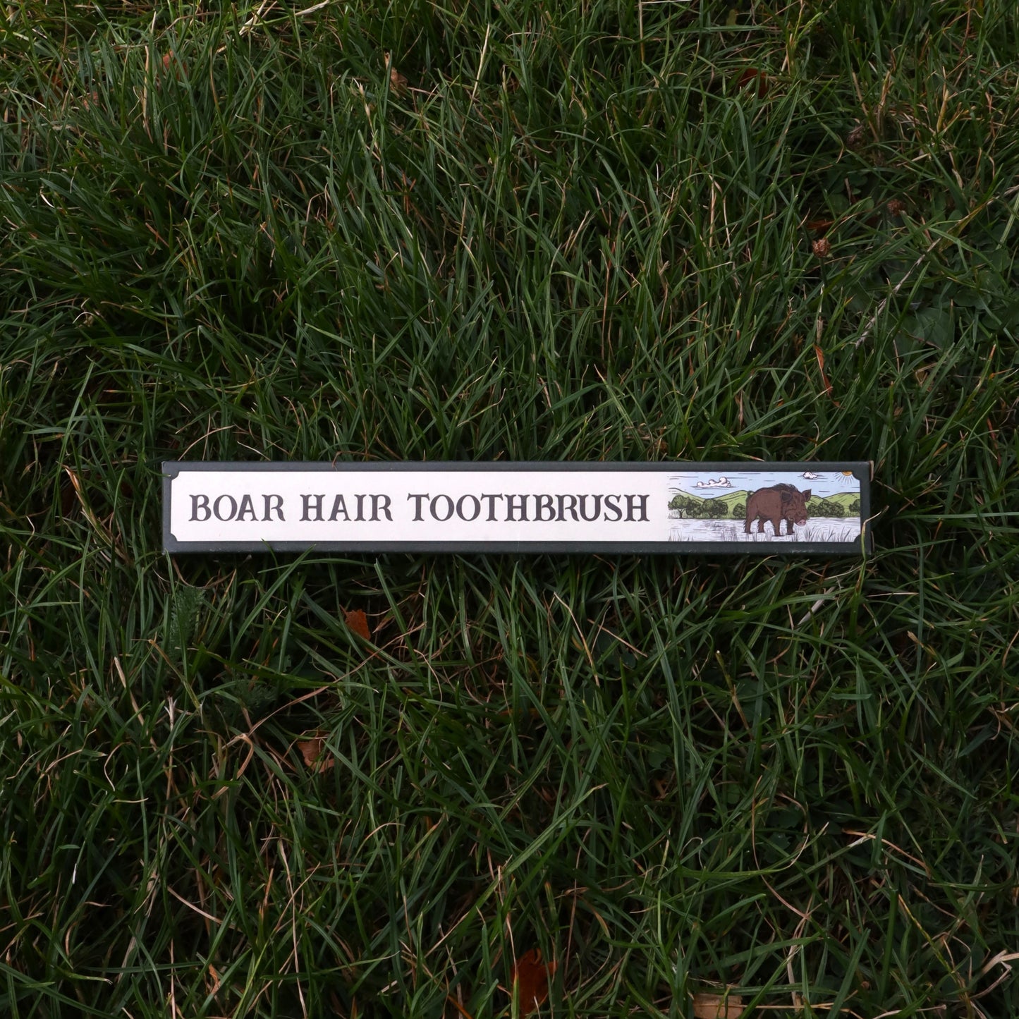 Boar Bristle Toothbrush 2.0 | Plastic Free