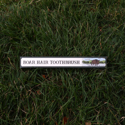 Boar Bristle Toothbrush 2.0 | Plastic Free