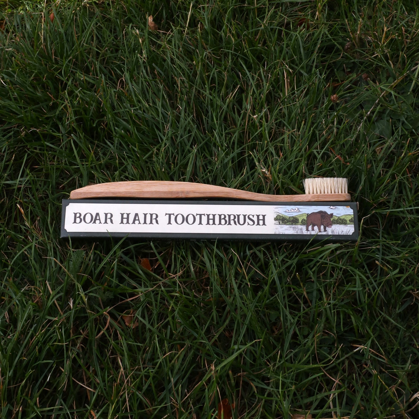 Boar Bristle Toothbrush 2.0 | Plastic Free