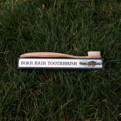 Boar Bristle Toothbrush 2.0 | Plastic Free