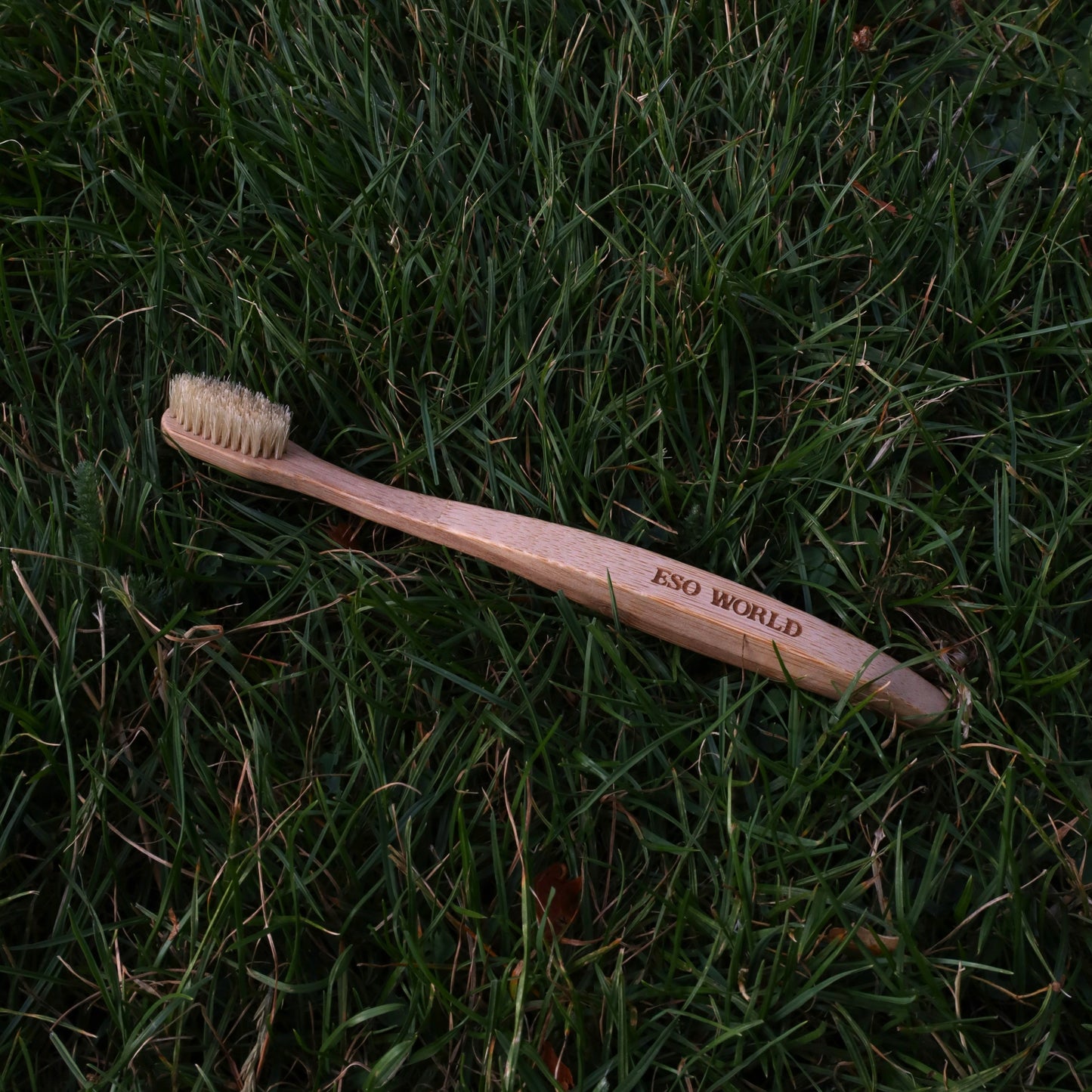 Boar Bristle Toothbrush 2.0 | Plastic Free