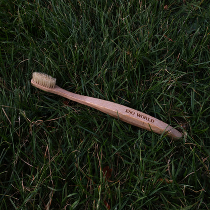 Boar Bristle Toothbrush 2.0 | Plastic Free