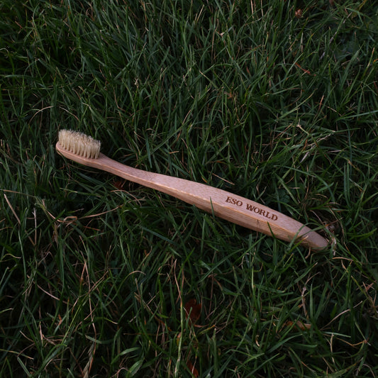 Boar Bristle Toothbrush | Plastic Free