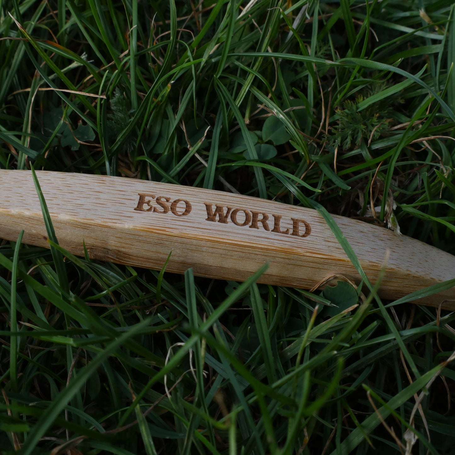 Boar Bristle Toothbrush 2.0 | Plastic Free