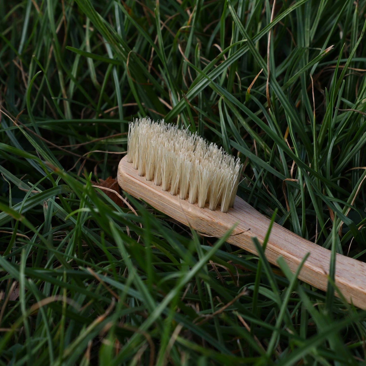 Boar Bristle Toothbrush 2.0 | Plastic Free