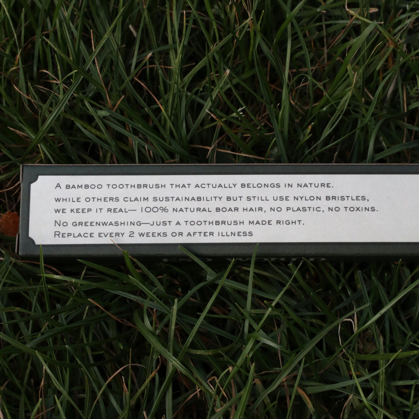 Boar Bristle Toothbrush 2.0 | Plastic Free