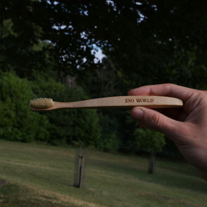 Boar Bristle Toothbrush 2.0 | Plastic Free