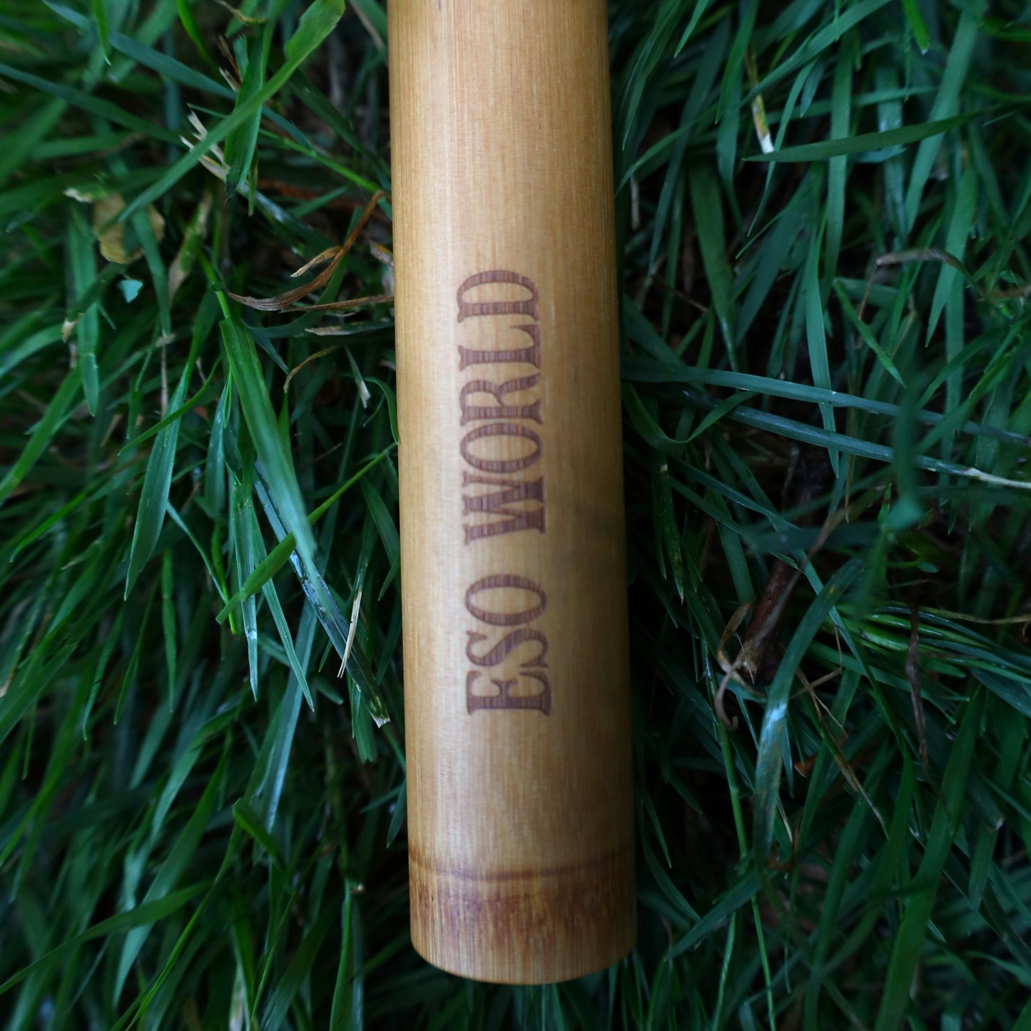 Bamboo Toothbrush Case | Travel Case