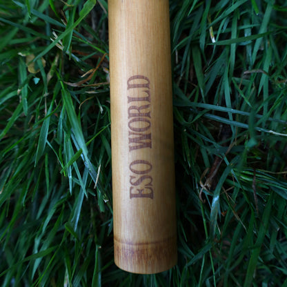 Bamboo Toothbrush Case | Travel Case