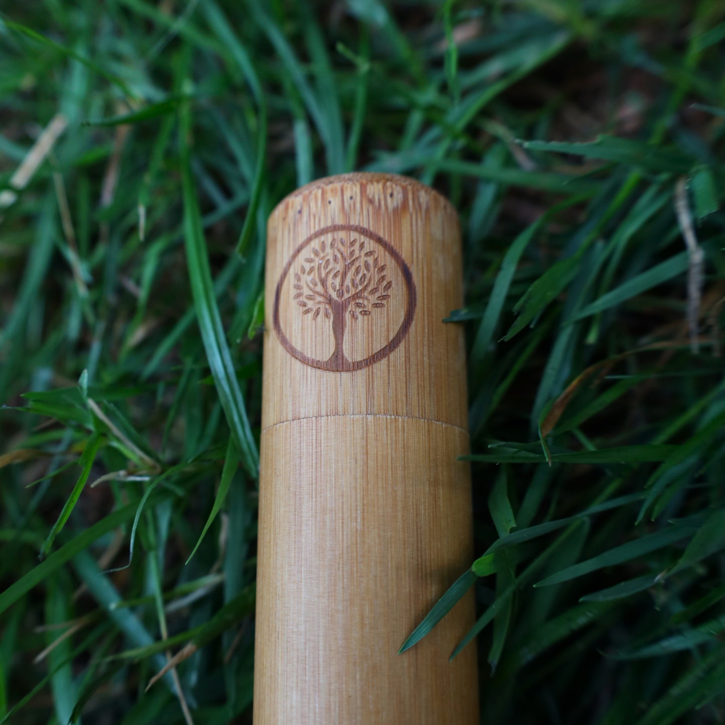 Bamboo Toothbrush Case | Travel Case