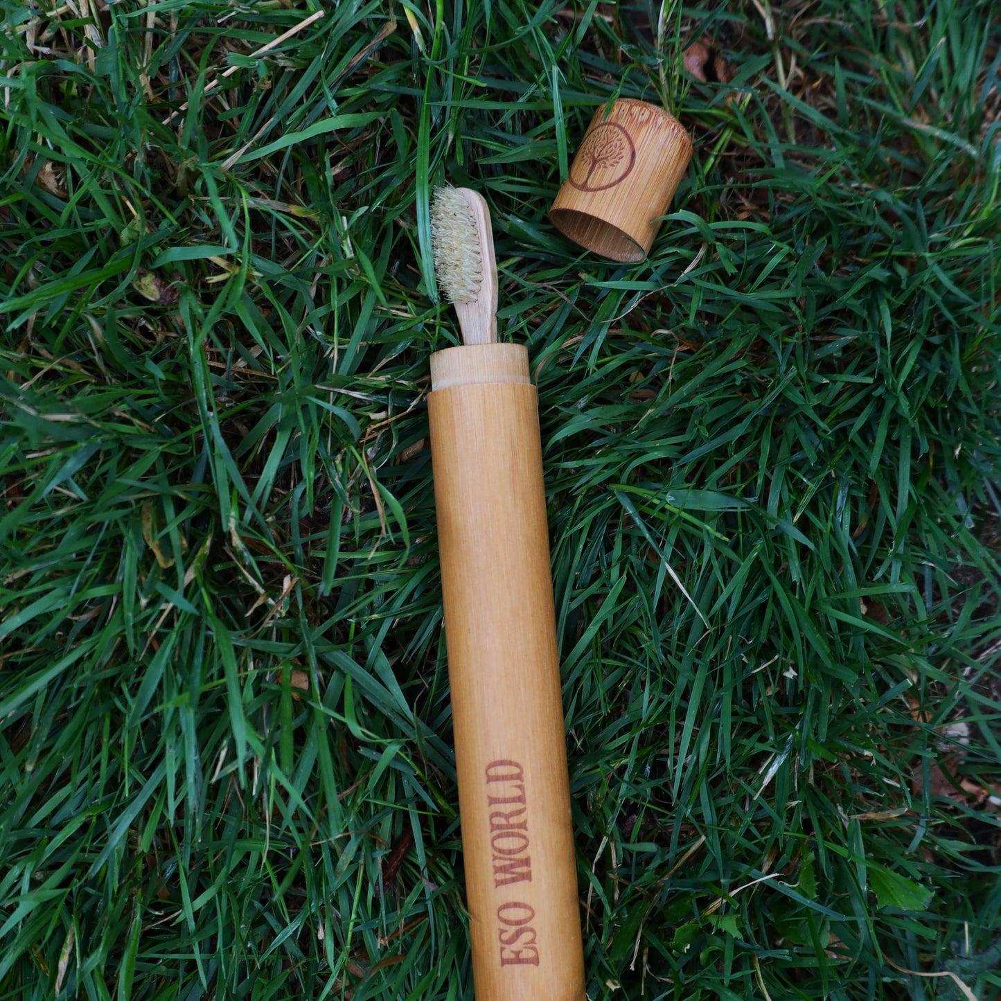 Bamboo Toothbrush Case | Travel Case