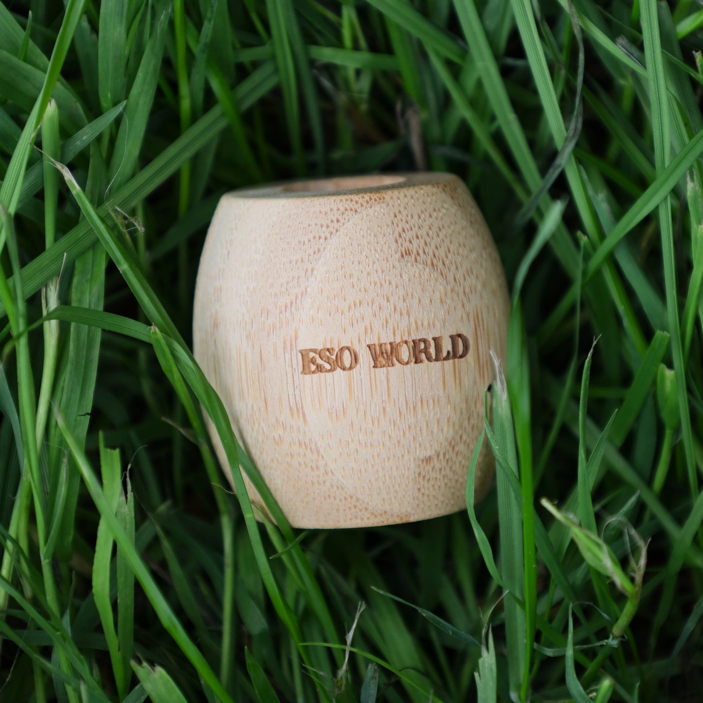 Bamboo Toothbrush Holder | Plastic Free