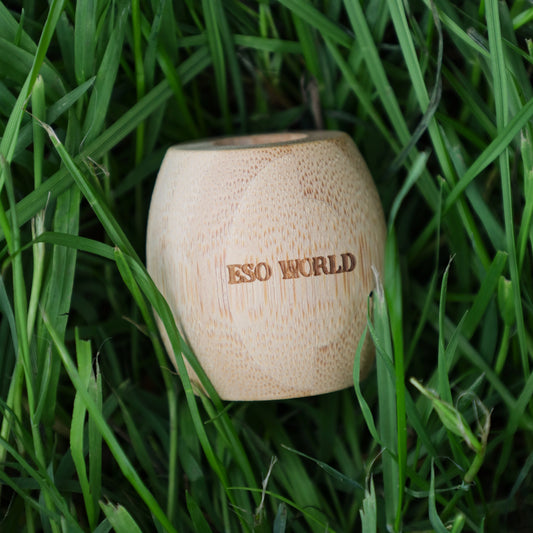 Bamboo Toothbrush Holder | Plastic Free