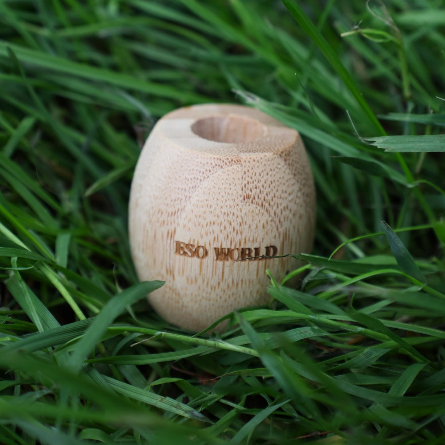 Bamboo Toothbrush Holder | Plastic Free