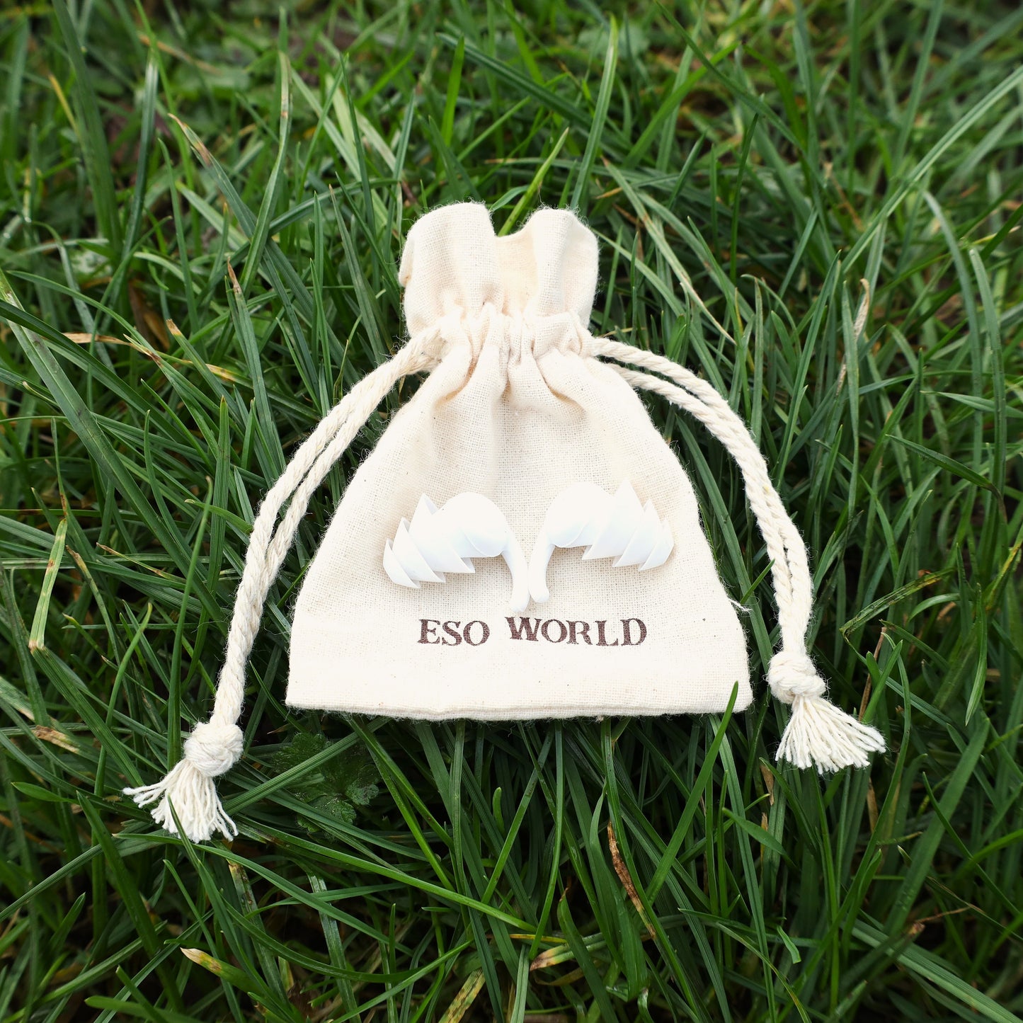 Silicone Ear Plugs | Reusable | Plastic Free