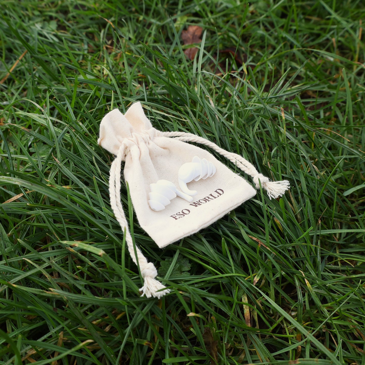 Silicone Ear Plugs | Reusable | Plastic Free