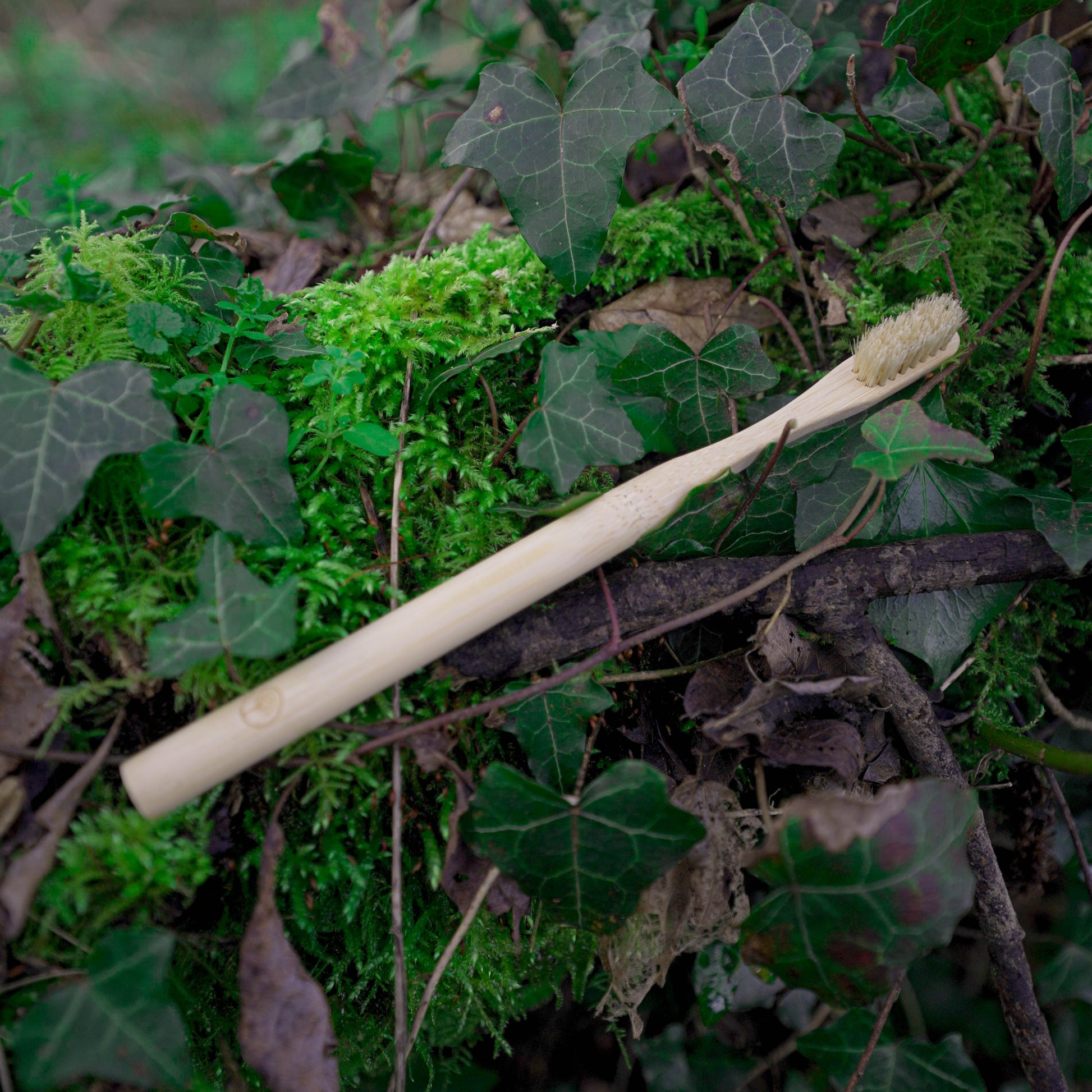 bamboo toothbrush with boar bristle