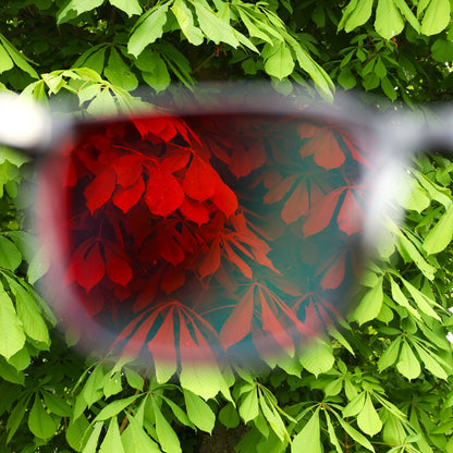 Blue Light Blocking Glasses | Red Lens