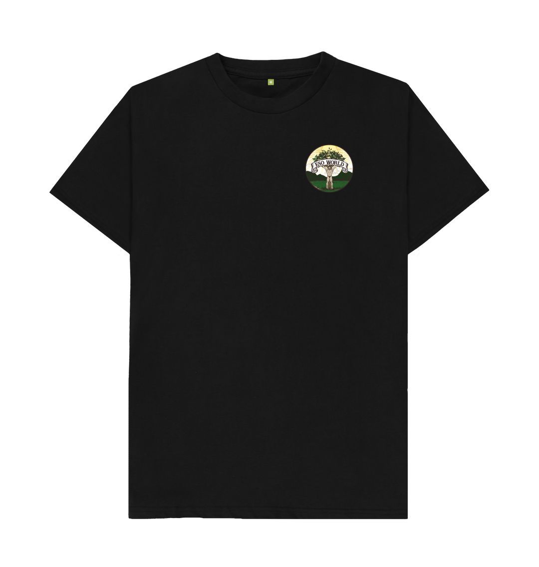 Black T-Shirt (Front Logo) - Men's